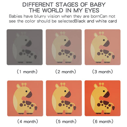 Baby Visual Stimulation Flash Cards