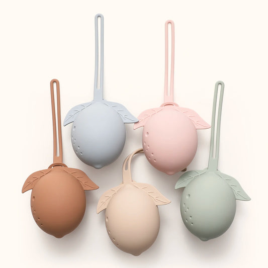 Baby Silicone Pacifier Storage Case